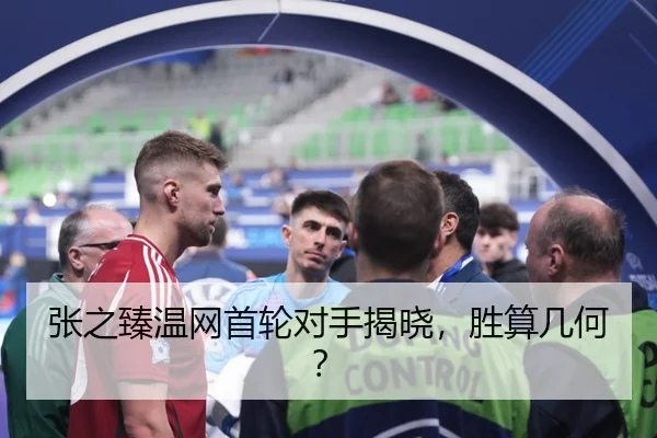 张之臻温网首轮对手揭晓，胜算几何？